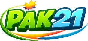pk21pk.com Logo